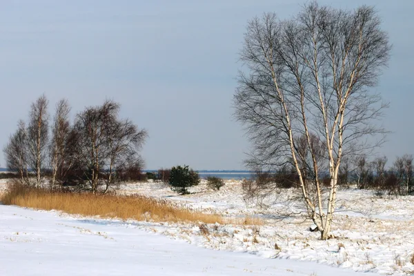 Der Deich im Winterkleid – März