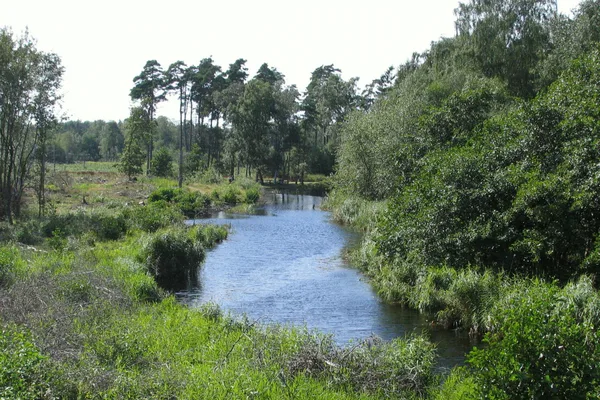 Der Waldsee Fårevasken (entstanden beim Deichbruch 1872) – nach der Abholzung – vom Deich aus gesehen